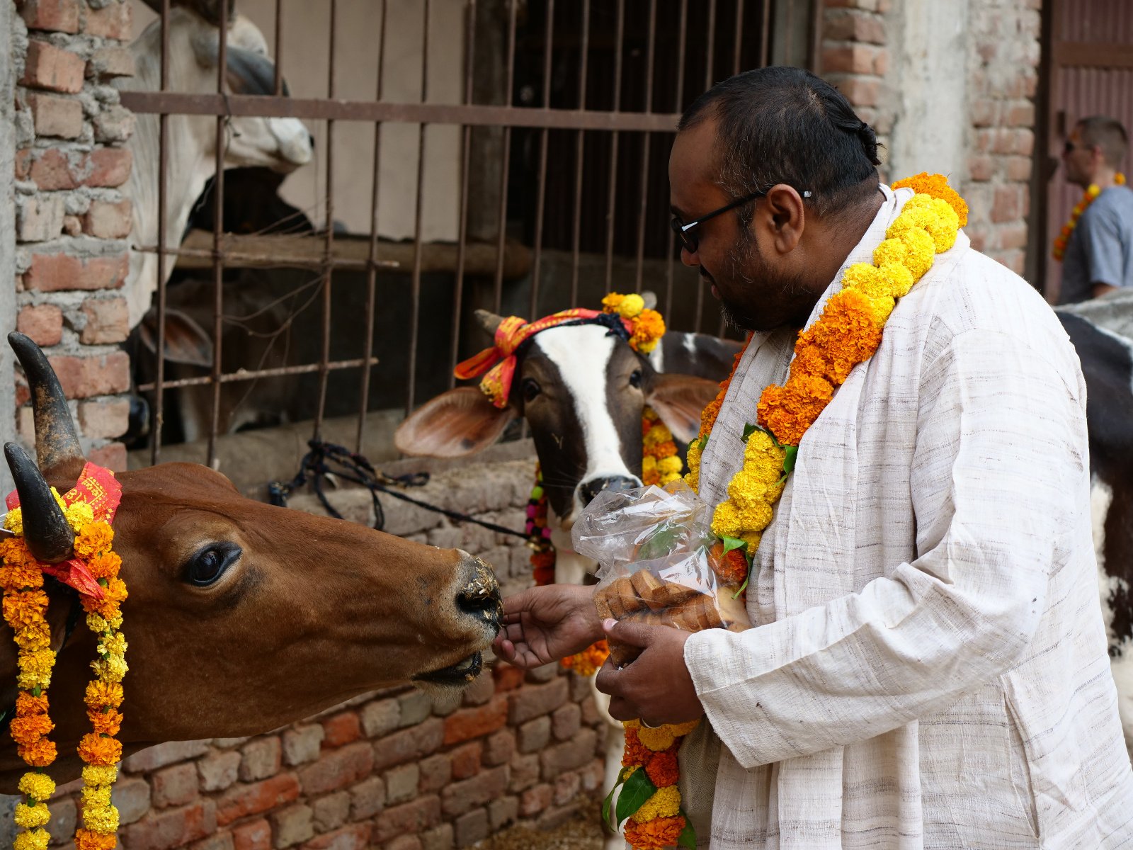  61 Gopashtami Radha kunda Govardhan 19.11.04